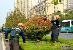 青州市：黨建紅+園林綠+環(huán)衛(wèi)橙，合力打造全域花園城市